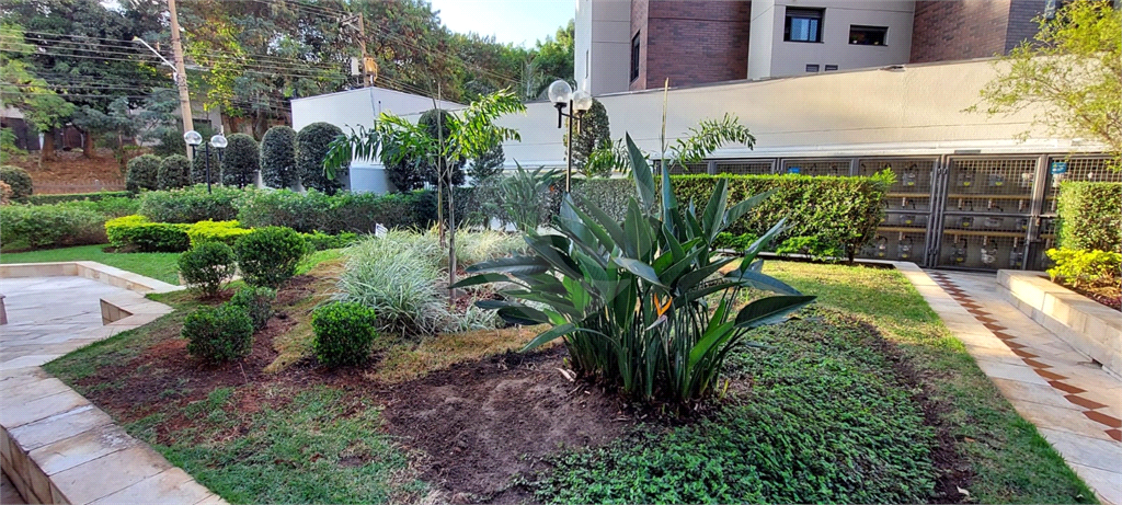 Apartamento Jd. São Paulo - 3 quartos.