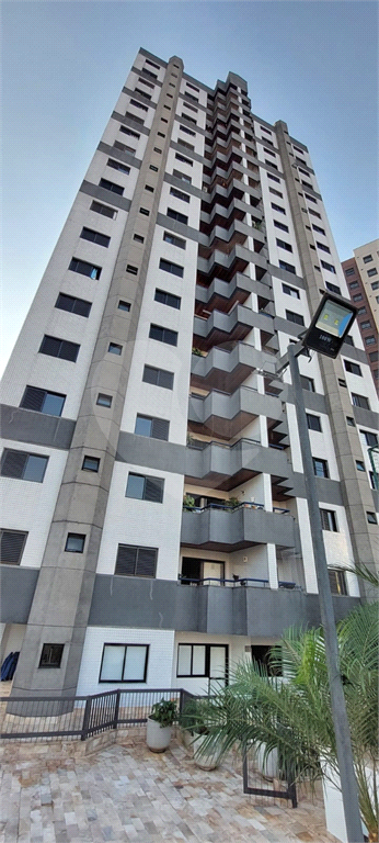 Apartamento Jd. São Paulo - 3 quartos.