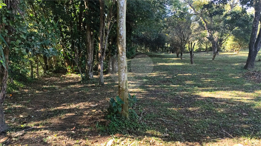 Fazenda à venda com 4 quartos, 187m² - Foto 8