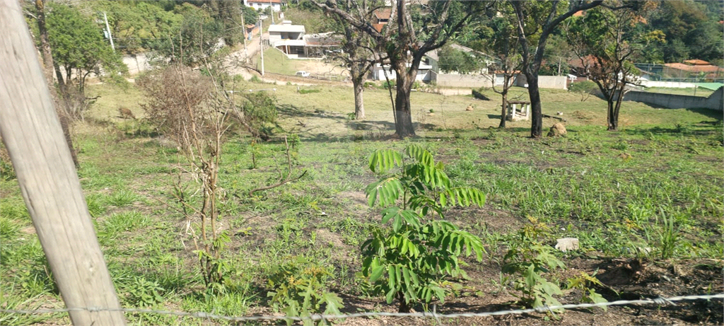 Terreno à venda, 1000m² - Foto 2