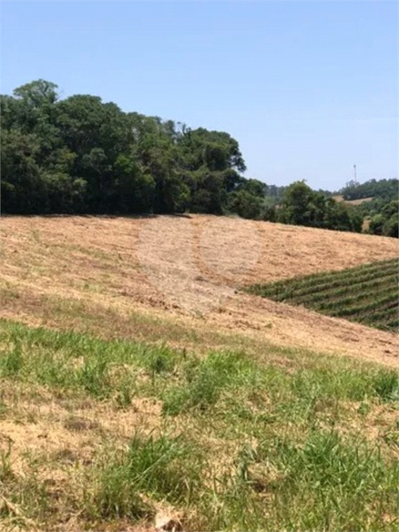 Terreno à venda, 20000m² - Foto 5
