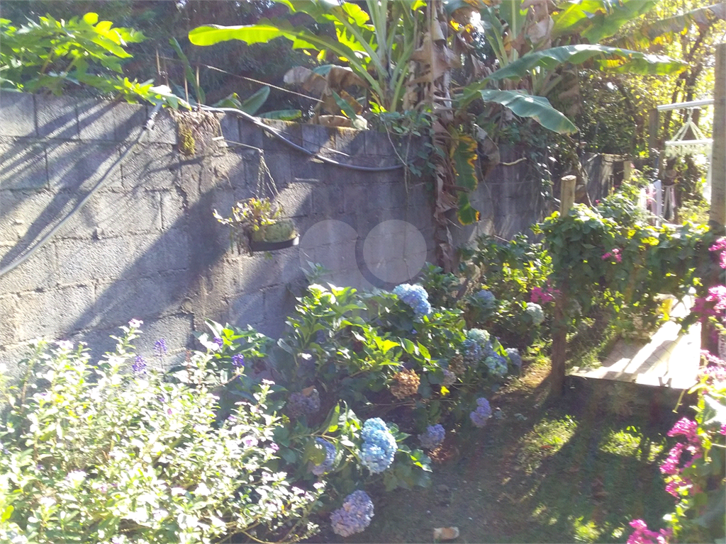 Chácara à venda com 3 quartos, 360m² - Foto 3