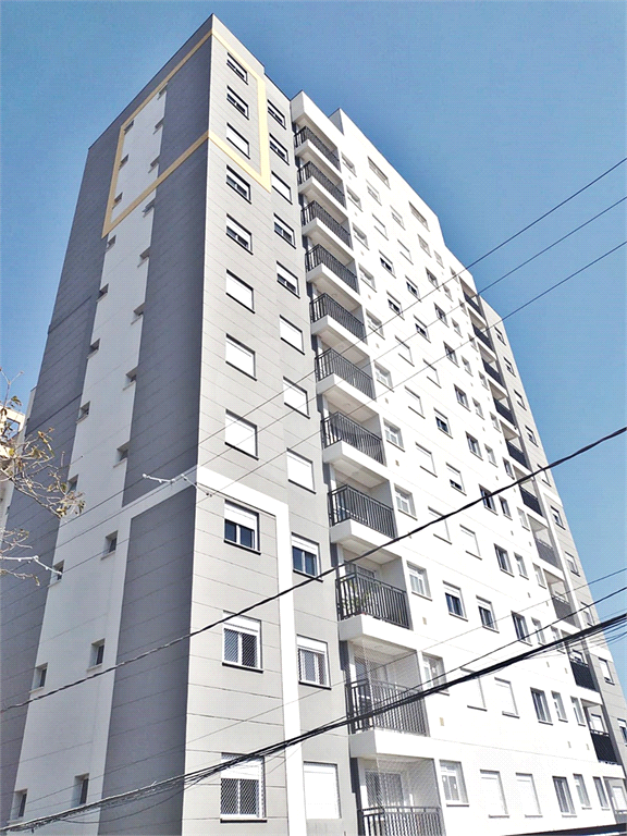Apartamento para locação no Tucuruvi, São Paulo/SP
