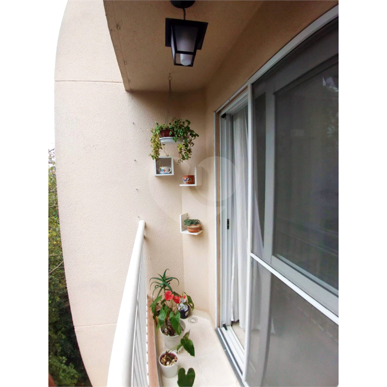 Apartamento  aconchegante 