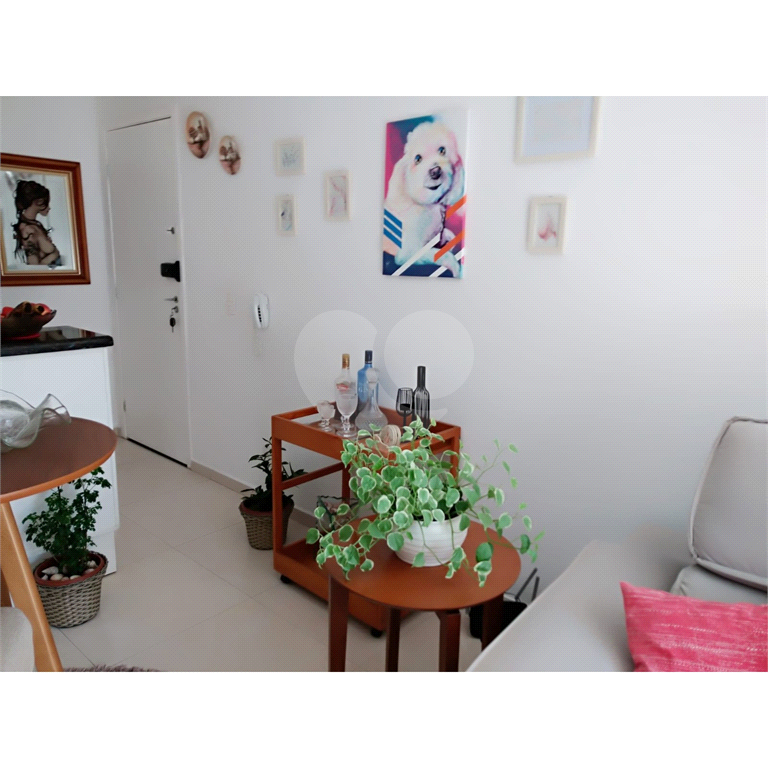 Apartamento  aconchegante 
