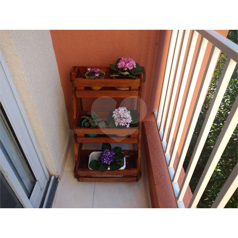 Apartamento  aconchegante 