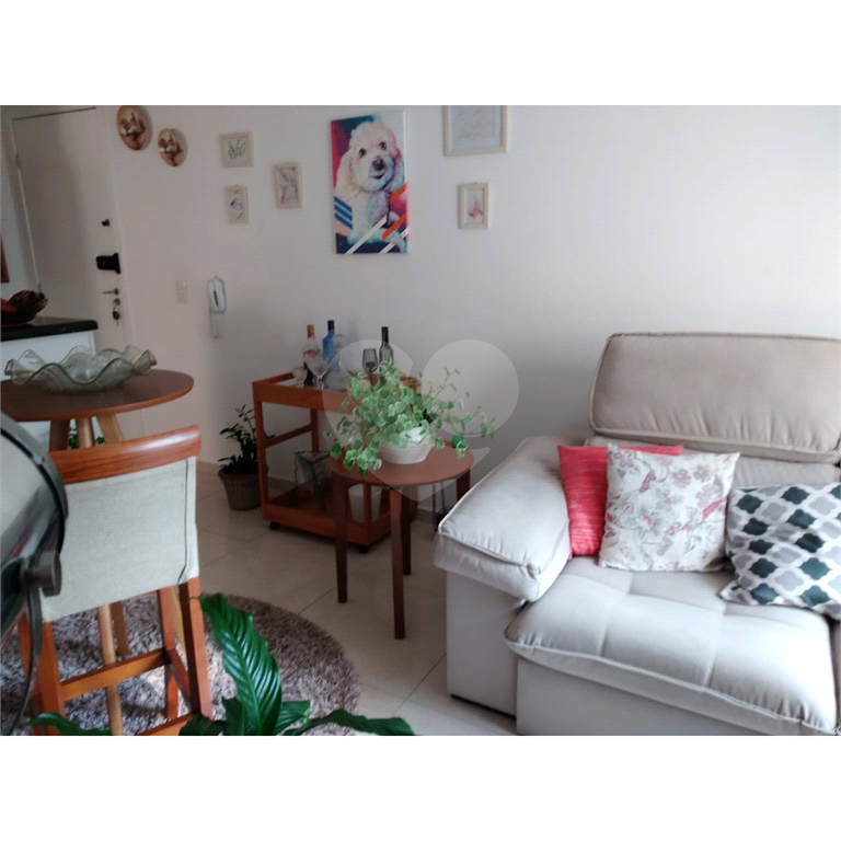 Apartamento  aconchegante 