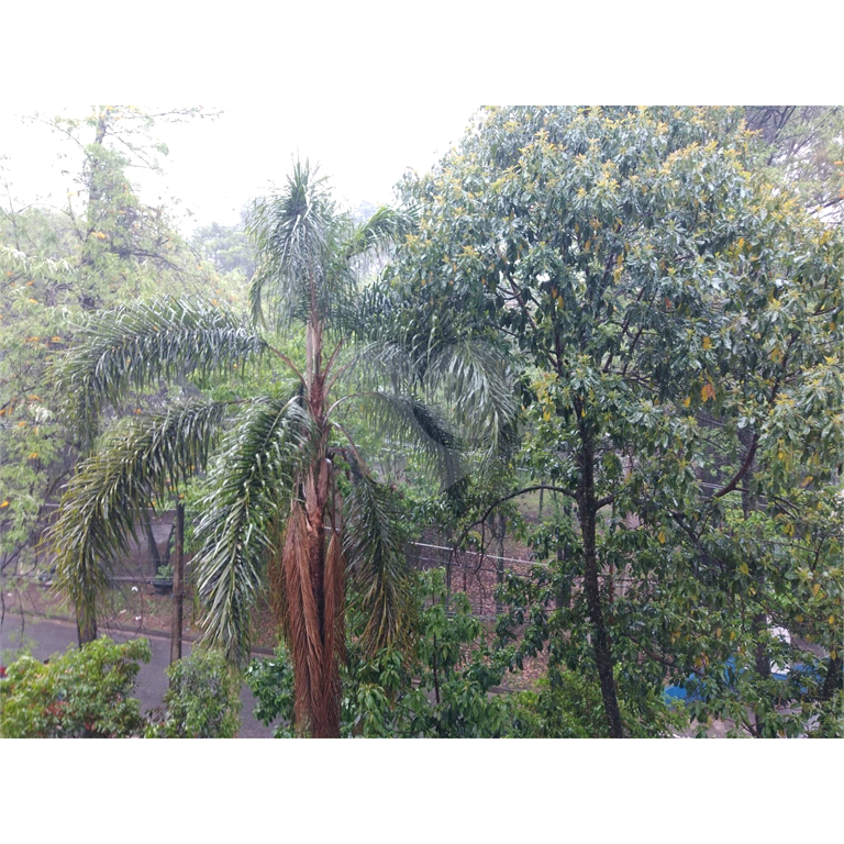 Apartamento  aconchegante 