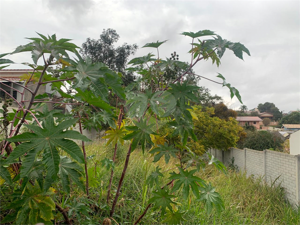 Terreno à venda, 424m² - Foto 6