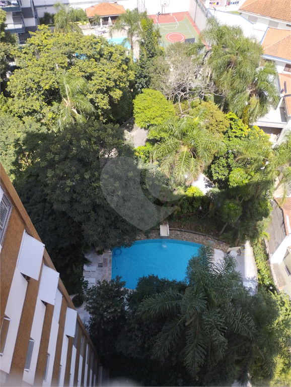 Apartamento 100 Metros 3 Dormitórios 1 Suíte Voluntários da Pátria