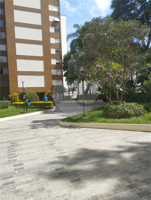Apartamento 100 Metros 3 Dormitórios 1 Suíte Voluntários da Pátria