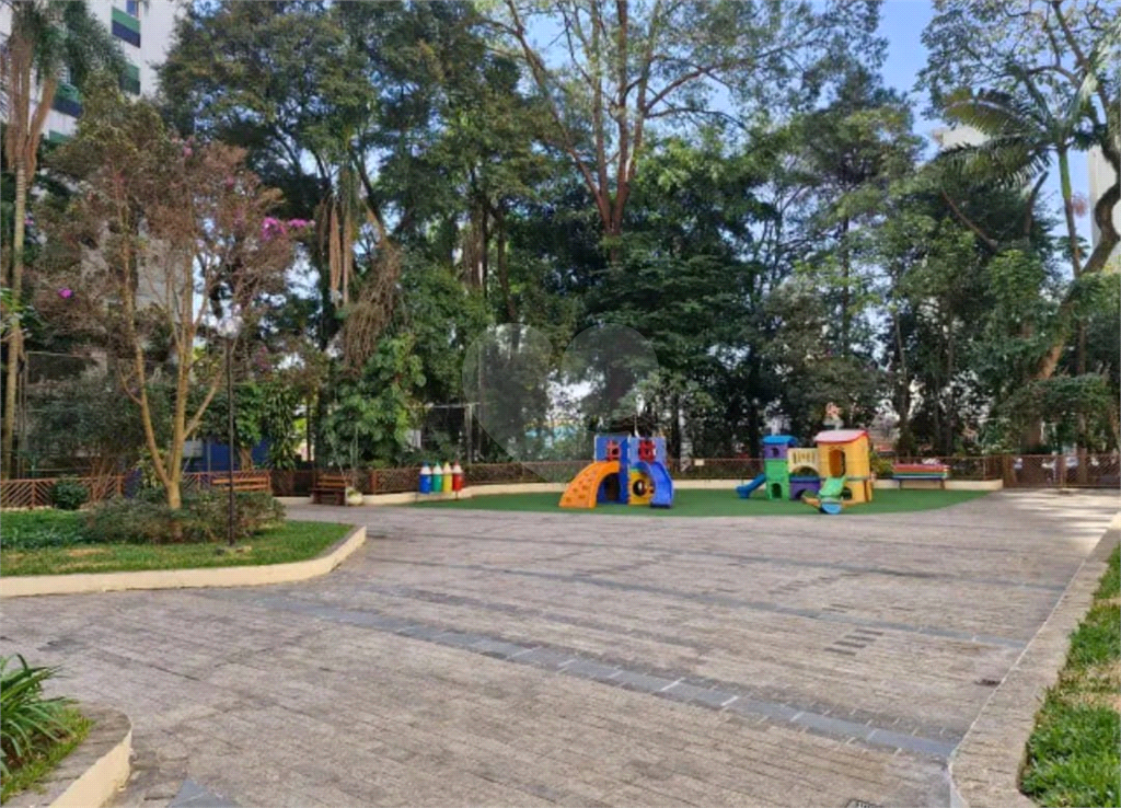 Apartamento 100 Metros 3 Dormitórios 1 Suíte Voluntários da Pátria