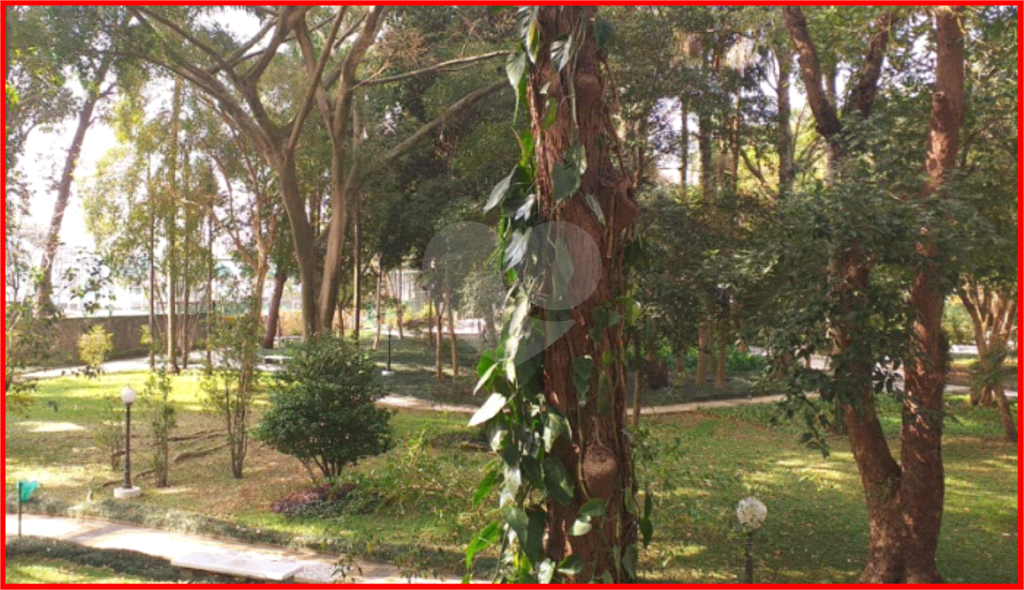 APARTAMENTO em CHÁCARA SANTO ANTÔNIO