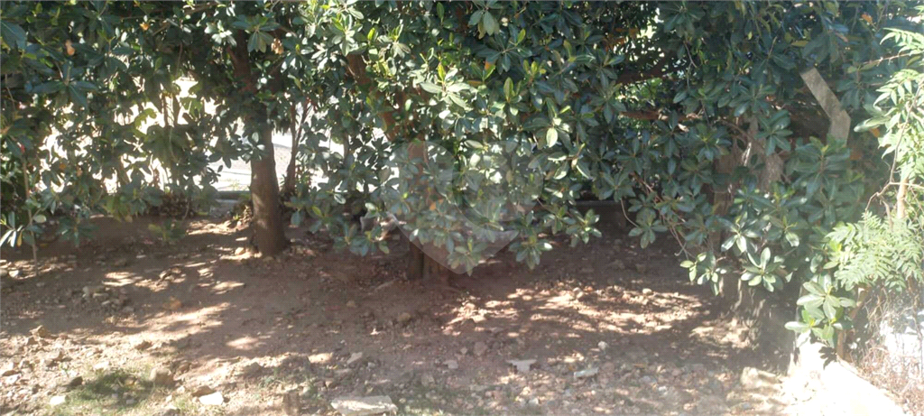 Chácara à venda com 3 quartos, 273m² - Foto 6