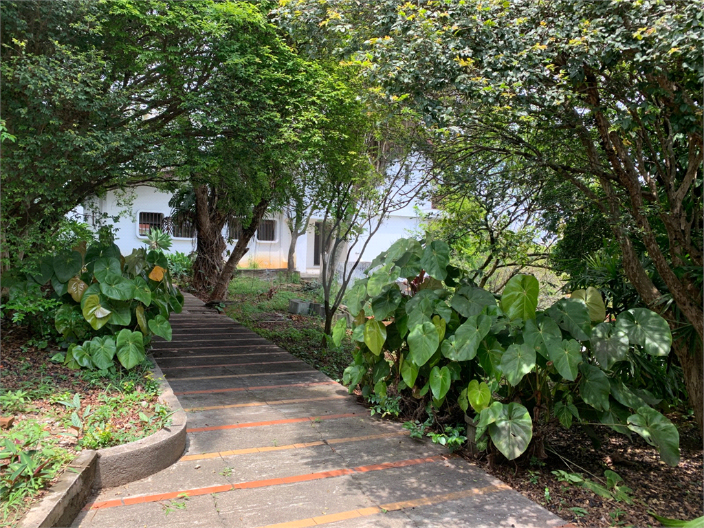 Oportunidade de viver bem com muito espaço, conforto e área verde!