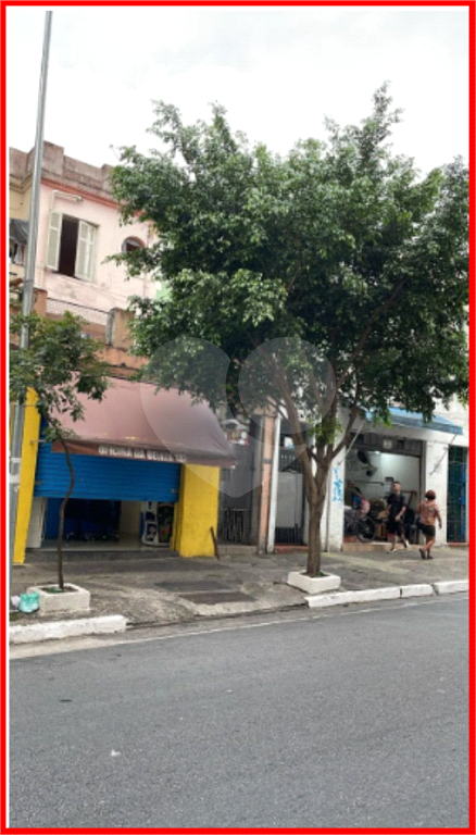 TERRENO em BELA VISTA
