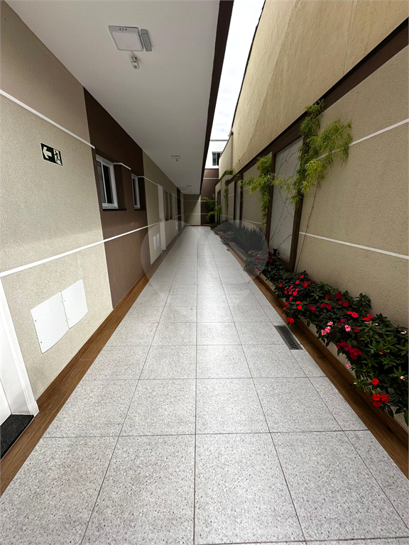 Apartamento para locação, Lauzane Paulista, 40m², 2 quartos, 1 banheiro, cozinha e área externa.