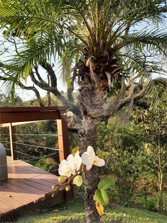 Terreno à venda, 500m² - Foto 5