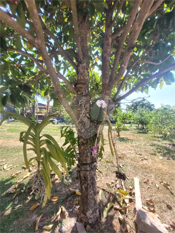 Casa de Condomínio à venda e aluguel com 6 quartos, 540m² - Foto 39