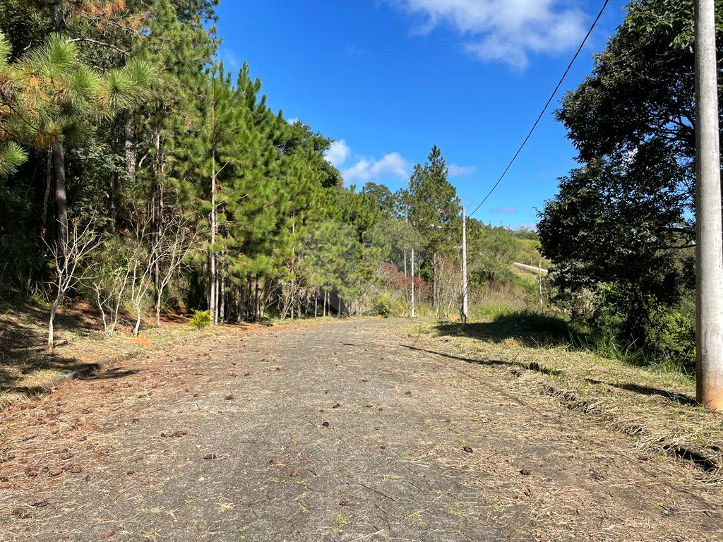 Terreno na Serra da Cantareira, loteamento fechado de alto padrão com 4.265 m²