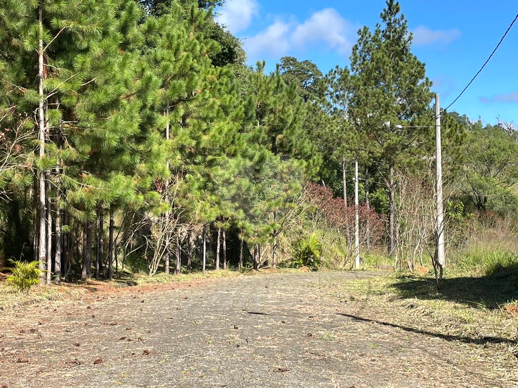 Terreno na Serra da Cantareira, loteamento fechado de alto padrão com 4.265 m²