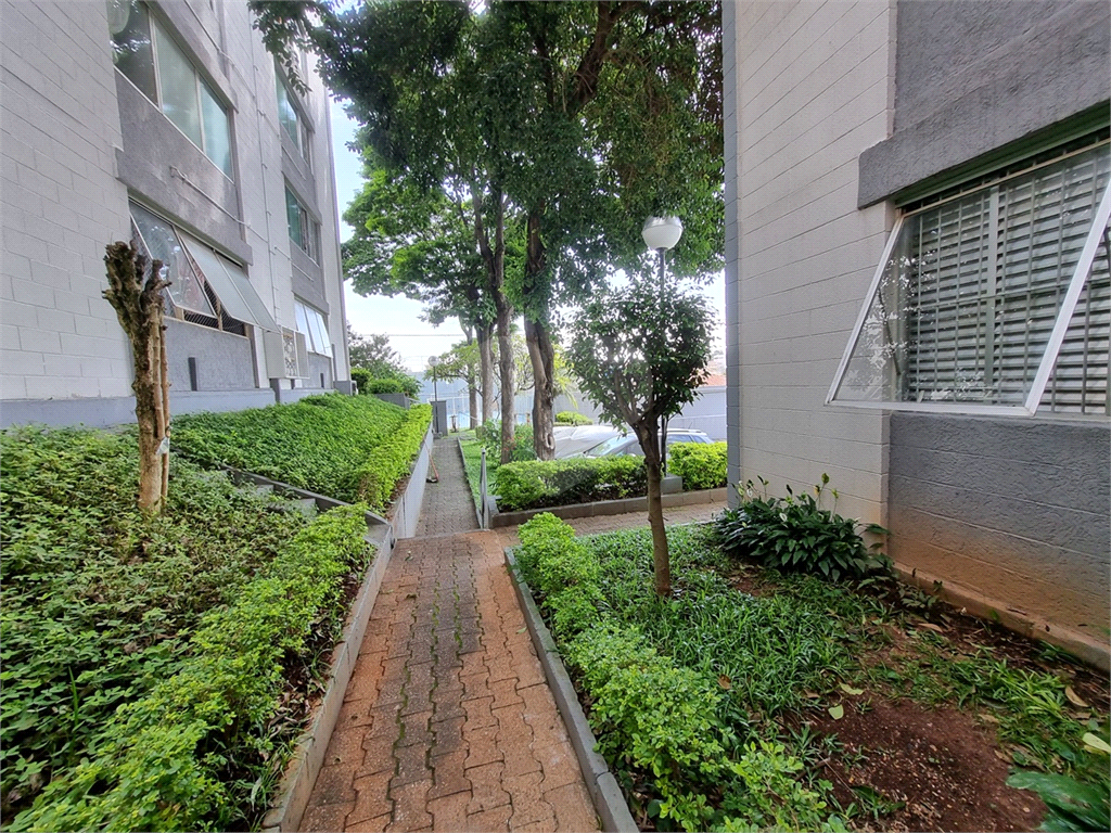 APARTAMENTO em CASA VERDE