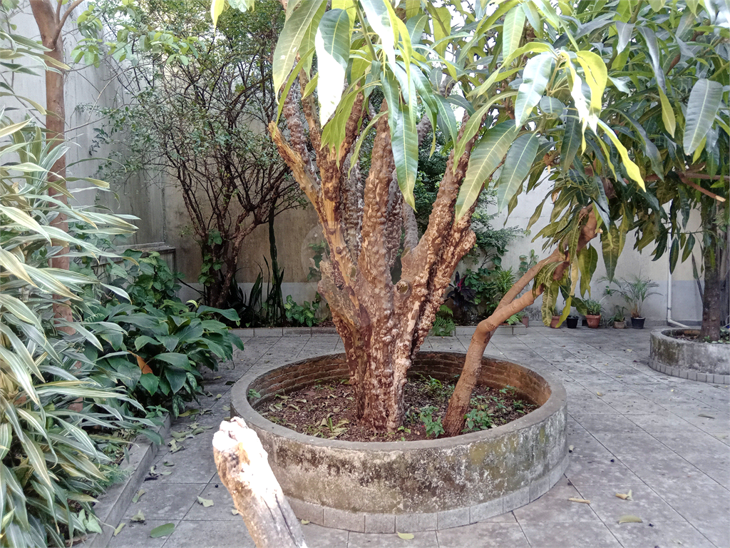 Sobrado amplo com quintal repleto de árvores frutíferas no bairro Santa Terezinha. 