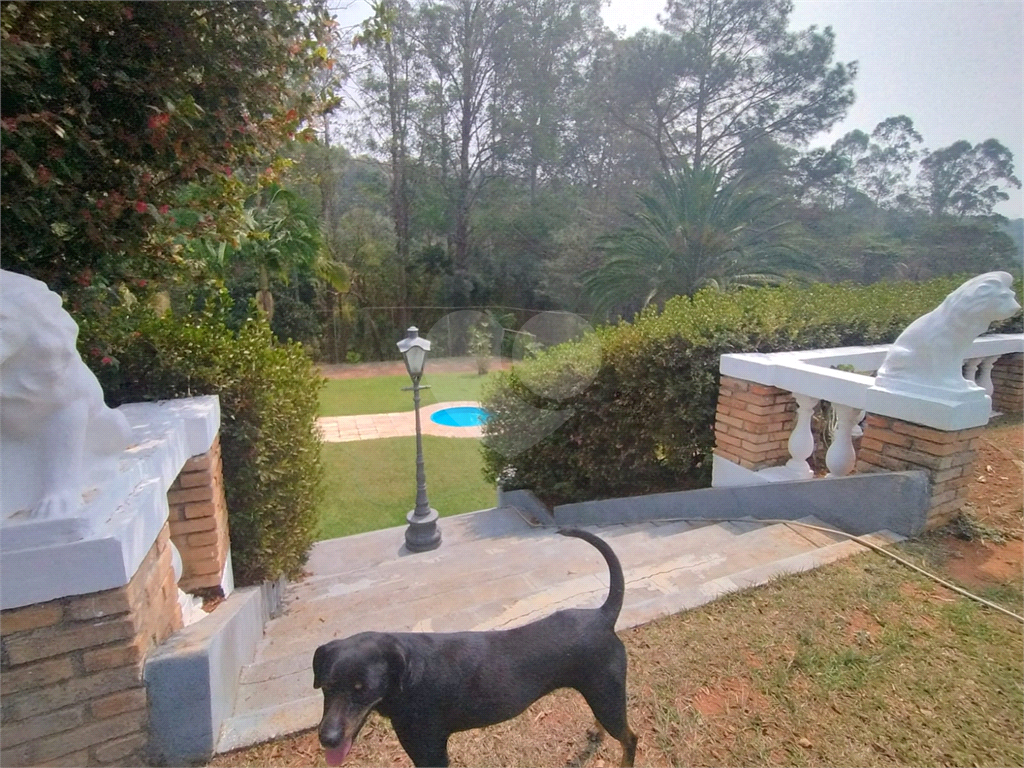 Sítio à venda com 5 quartos, 1000m² - Foto 53