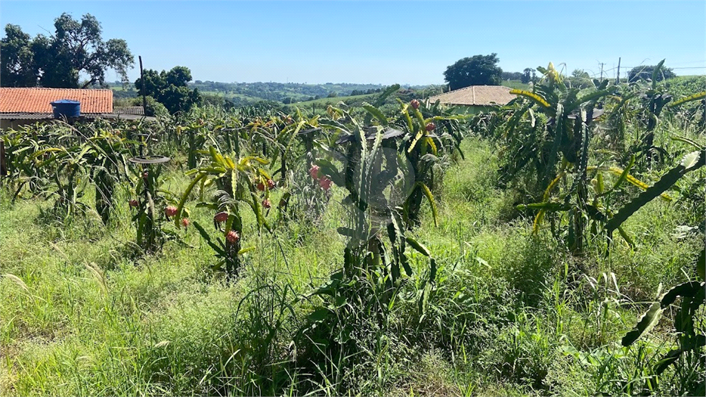 Chácara à venda com 7 quartos, 400m² - Foto 5