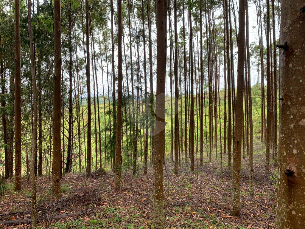 Terreno com 2 alqueires na cidade de Camanducaia - MG