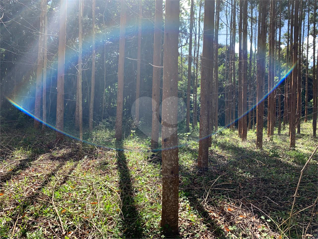 Terreno com 2 alqueires na cidade de Camanducaia - MG