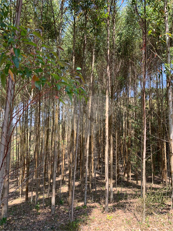 Terreno com 2 alqueires na cidade de Camanducaia - MG