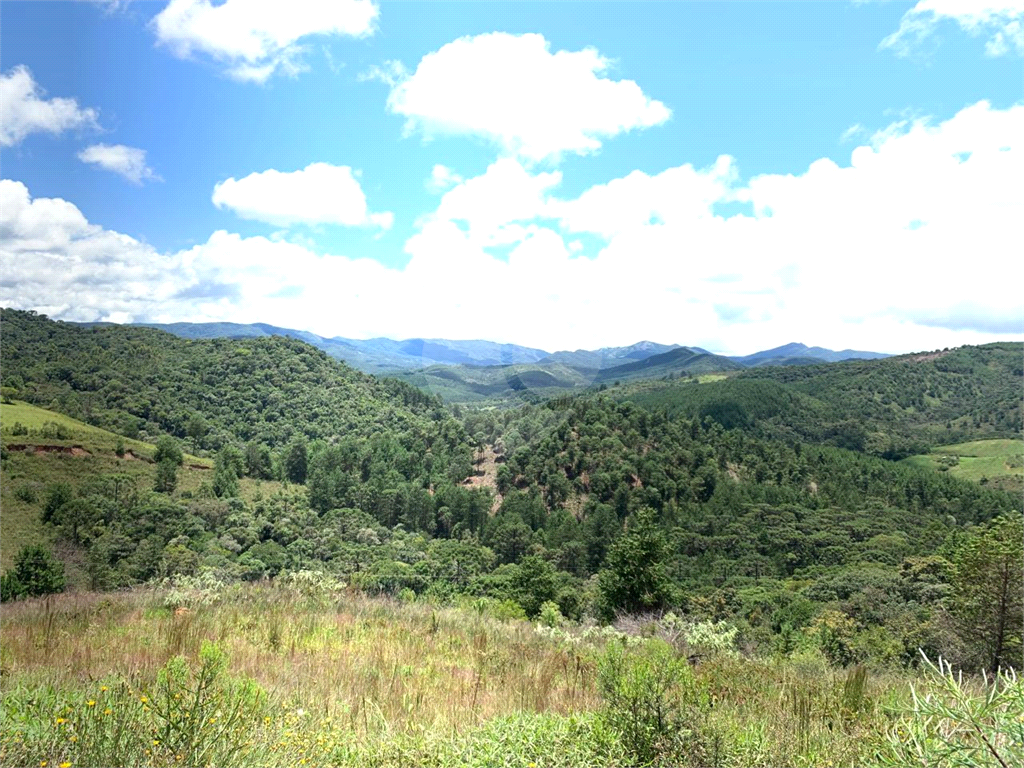 Terreno com 2 alqueires na cidade de Camanducaia - MG