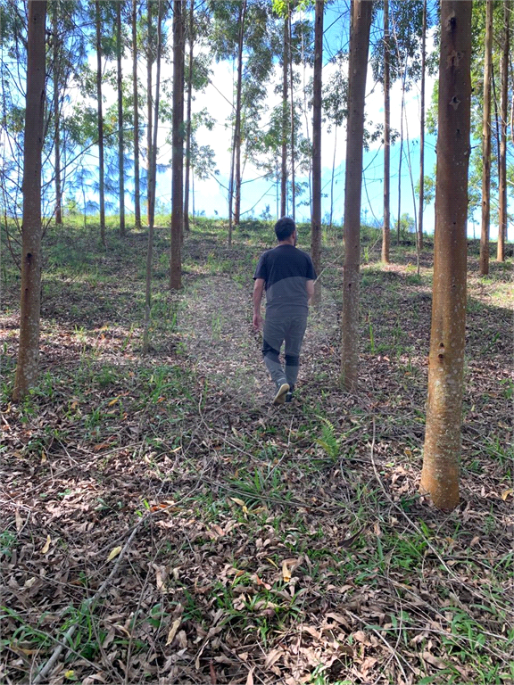 Terreno com 2 alqueires na cidade de Camanducaia - MG