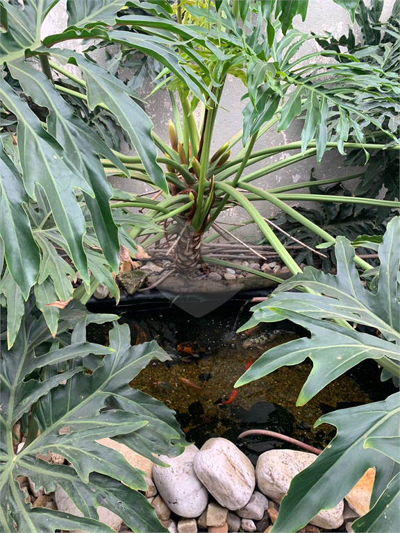 Casa, 4 quartos, 300 m² - Foto 18