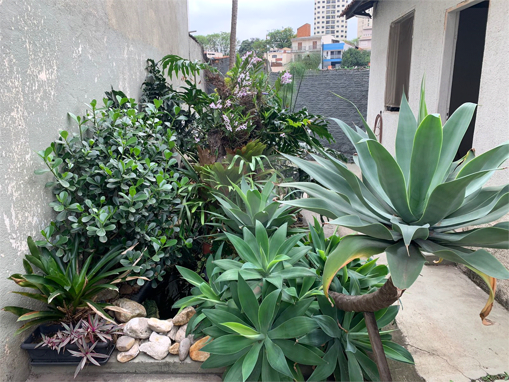 Casa, 4 quartos, 300 m² - Foto 17