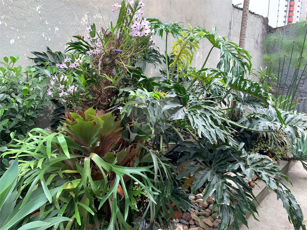 Casa, 4 quartos, 300 m² - Foto 16