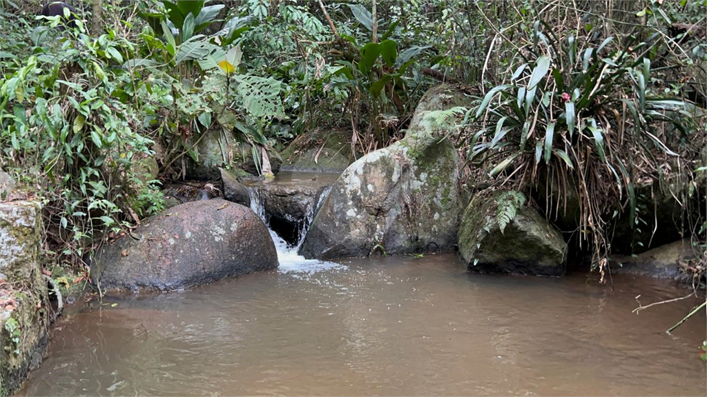 Sitio na Serra da Cantareira Oportunidade de investimento Já foi um pesqueiro Opção negócio rural!