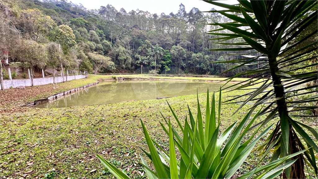 Sitio na Serra da Cantareira Oportunidade de investimento Já foi um pesqueiro Opção negócio rural!