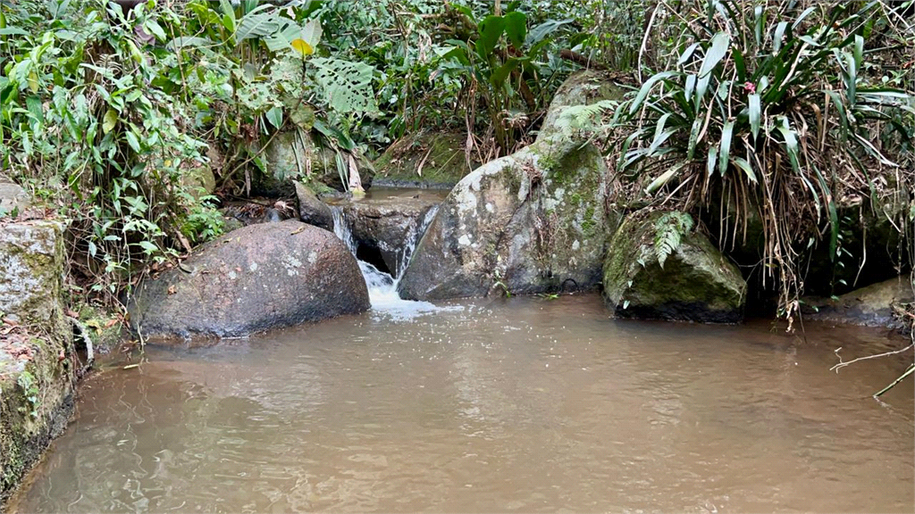 Sitio na Serra da Cantareira Oportunidade de investimento Já foi um pesqueiro Opção negócio rural!