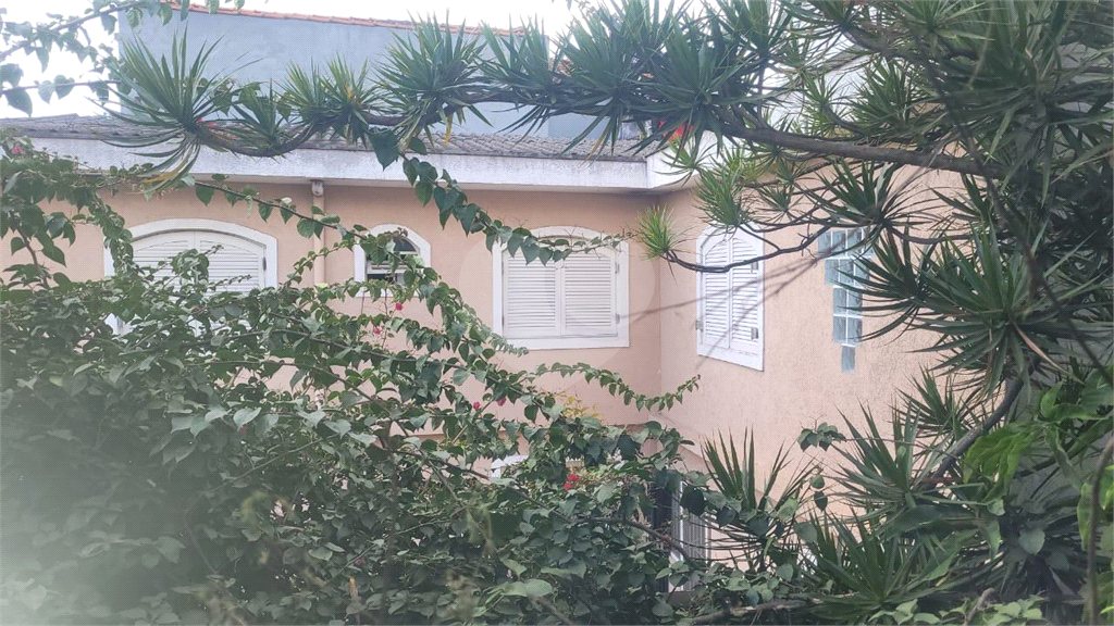 CURSINO - SOBRADAO COM DUAS RESIDÊNCIAS 