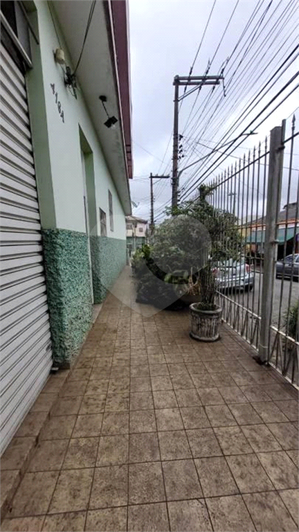 CURSINO - SOBRADAO COM DUAS RESIDÊNCIAS 