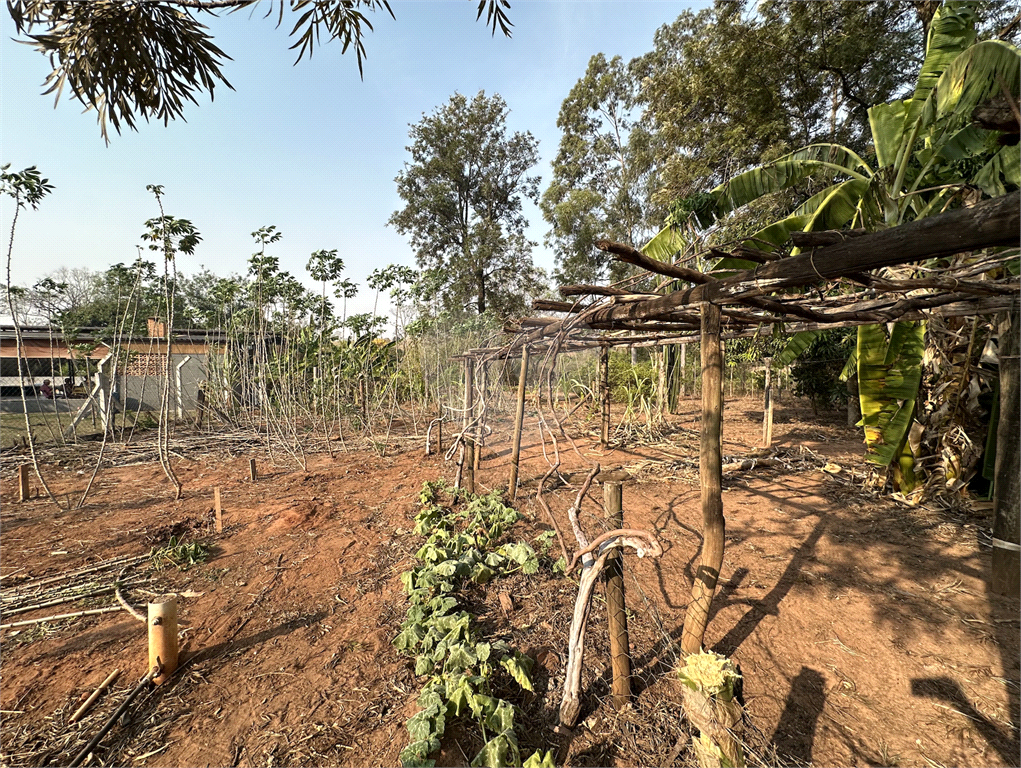 Fazenda à venda com 4 quartos, 250m² - Foto 25