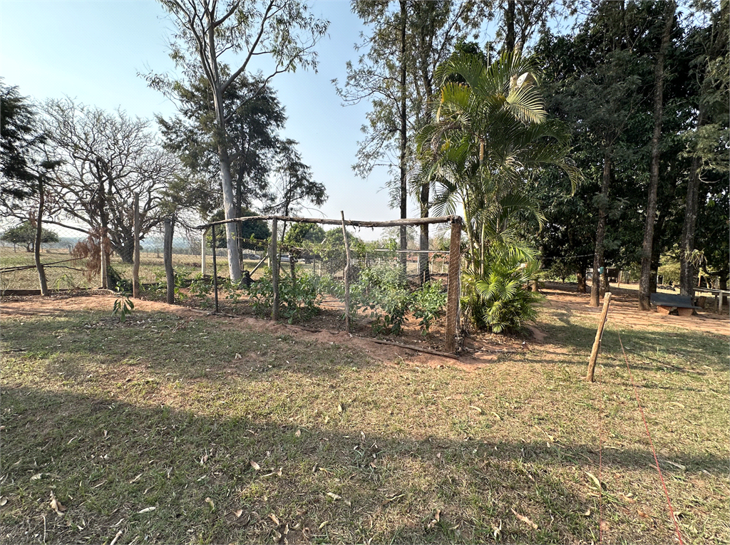 Fazenda à venda com 4 quartos, 250m² - Foto 18