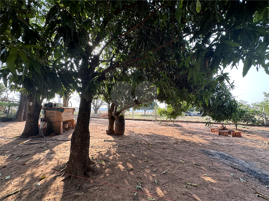 Fazenda à venda com 4 quartos, 250m² - Foto 21