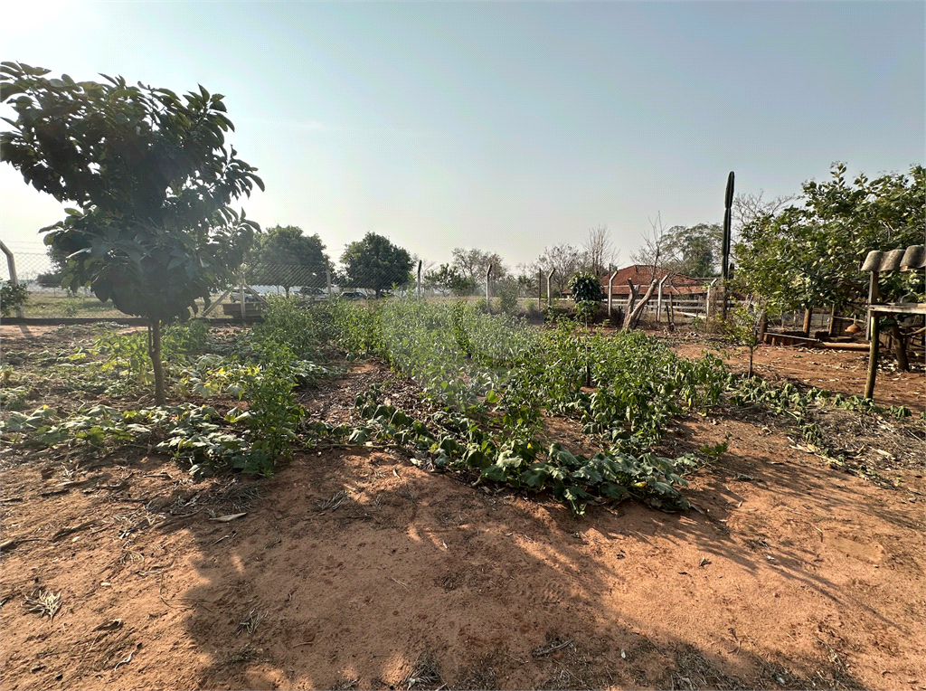 Fazenda à venda com 4 quartos, 250m² - Foto 23