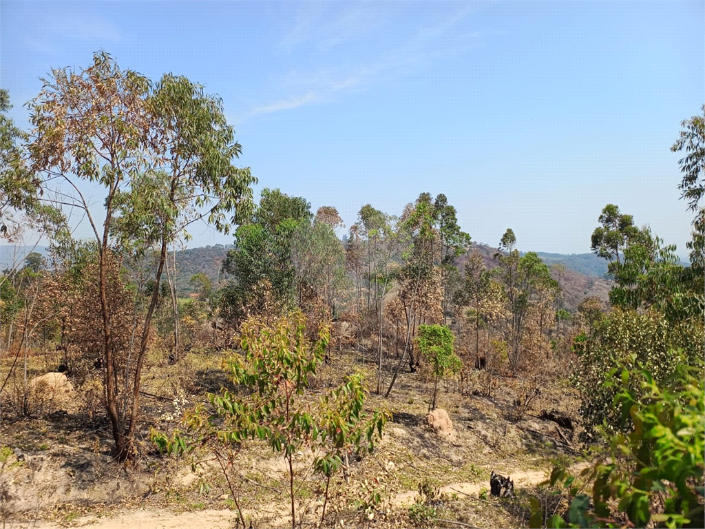 Terreno à venda, 137000m² - Foto 6