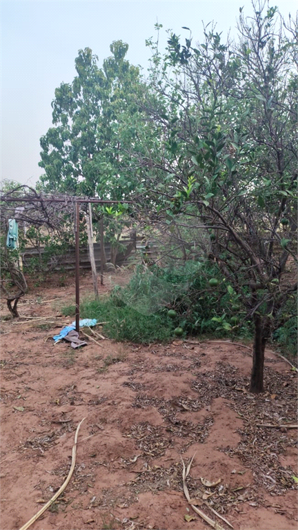 Fazenda à venda com 3 quartos, 140m² - Foto 13