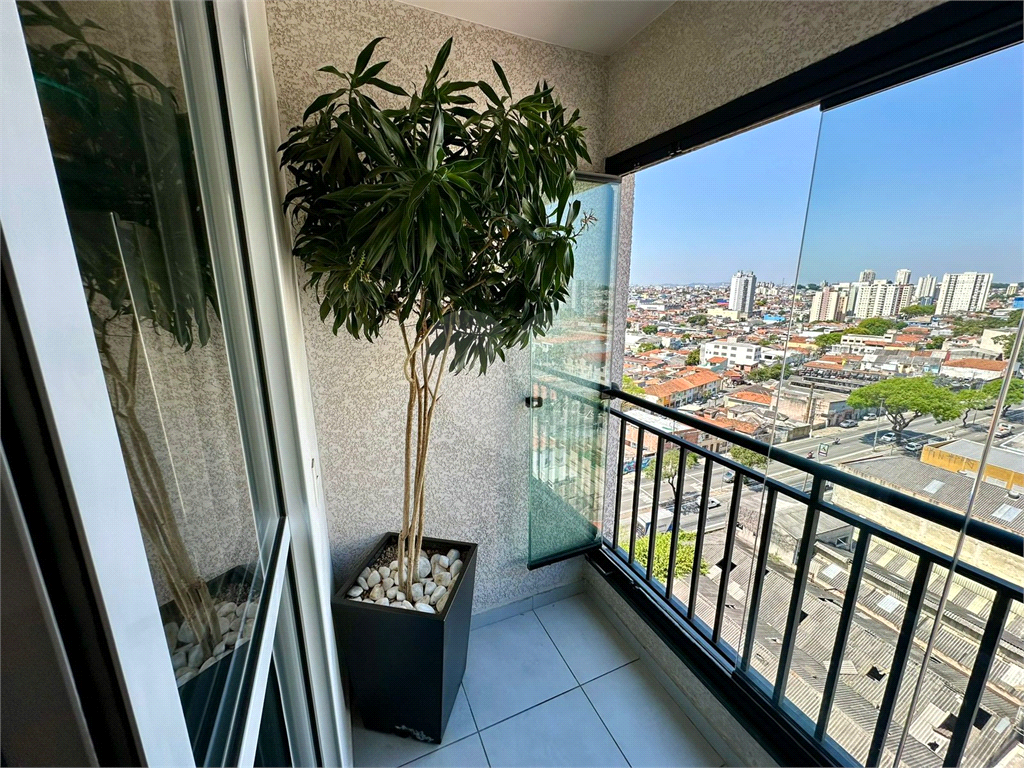 SACOMÃ - MOINHO VELHO - PRÉDIO NOVO MOBILIADO 
