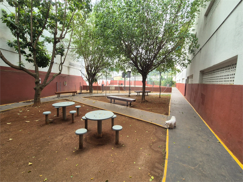Apartamento  a venda com 03 quartos sendo 01 suíte em Santana, próximo ao metro! 